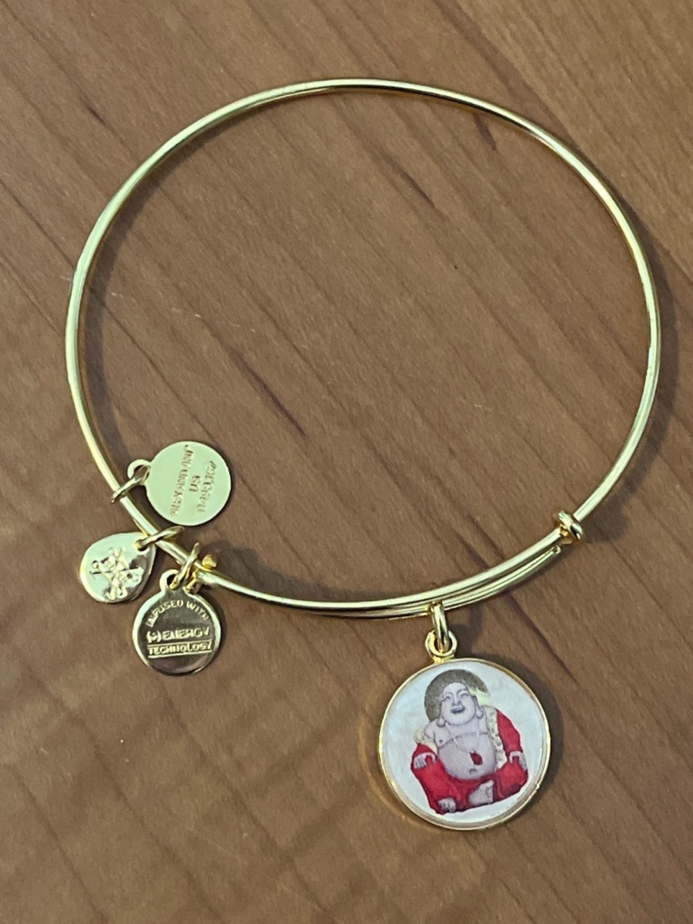 Alex and Ani Gold Tone Bangle Bracelet with Red Buddha Charm